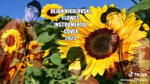 Dejan Nikolovski - Miley Curus - Flowers Instrumental Cover (2023)