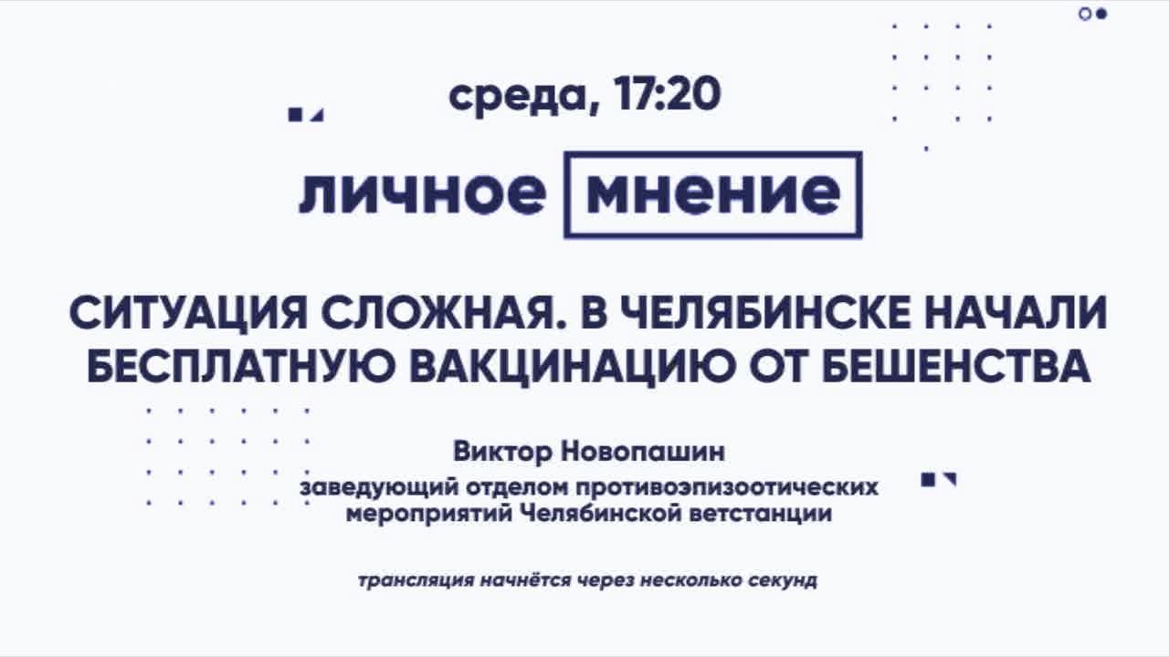 Ситуация сложная. В  Челябинске начали бесплатную вакцинацию от бешенства