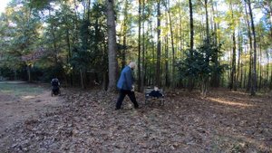 Как я Фотографирую Семьи. Семейная Фотосессия На Природе. Гринвилл, Южная Каролина