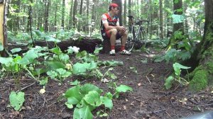 Циклокросс VS Шоссер. Что лучше?