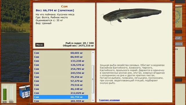 РР3 Читы Макроссы Для Русской рыбалке 3,99 онлайн сегодня 28,11,2023 смотреть онлайн