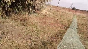 Доработаная раколовка Дорожка /// лучшая что я видел!