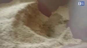 Станок для производства топливных брикетов Pini Kay