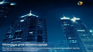 3D фотообои "Неоновые огни ночного города"