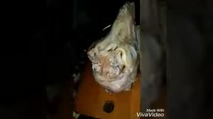 Варим козьи головы.