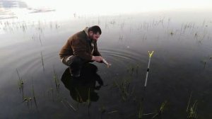 В лесу на озере.