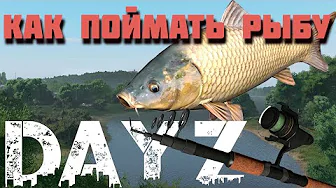 Dayz рыбалка, как рыбачить в Standalone