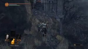 Прохождение Dark Souls 3 за Рыцаря. Проклятое великое древо.Гигант-лучник