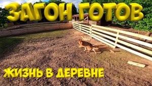 Загон готов ! [Жизнь в деревне]