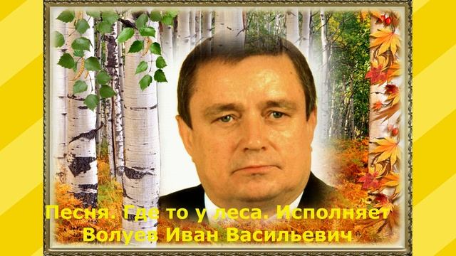 507.В.Ю. Песня. Где то у леса. Исполняет Волуев И.В. смотреть онлайн