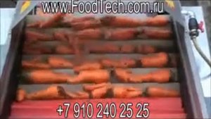 мойка моркови оборудование