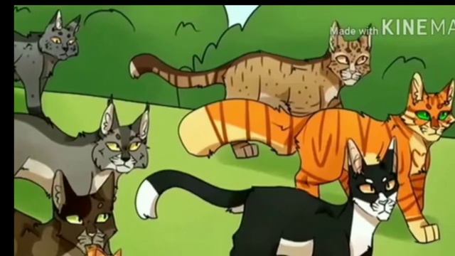 Клип самбреро (коты воители) смотреть онлайн