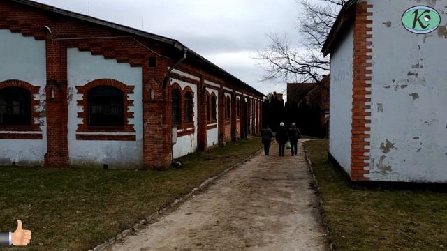 Конный завод 