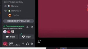 КАК ОТКЛЮЧИТЬ МИКРОФОН В ДИСКОРДЕ! Умное видео no cap