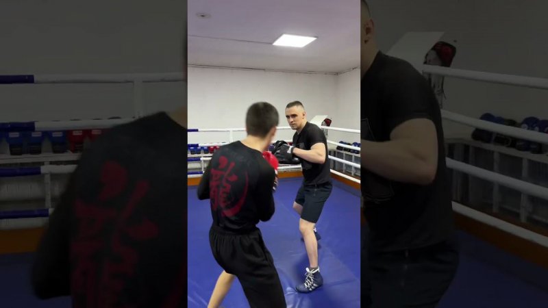 Лапы #boxing #shorts