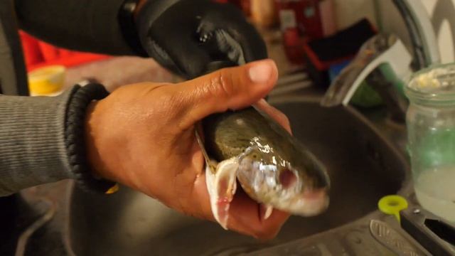 Форель Під Вершковим Соусом У Fazenda Fishbone | Смачно з Костянтином Грубичем смотреть онлайн