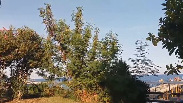 НАДОЕЛ ОГОРОД? ПРИКЛЮЧЕНИЯ В ТУРЦИИ.