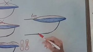 Апекс ногтя! Где находится апекс ногтевой пластины.