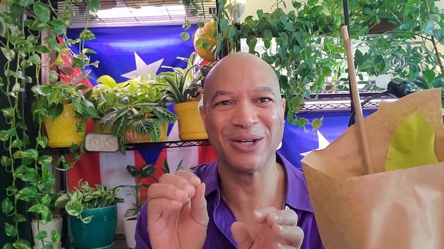 #planterina #unboxing #unboxingvideo #newplant #newplants @Planterina #scindapsus #peacelily смотреть онлайн