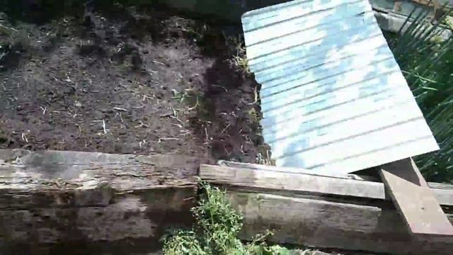 ПОСАДКА семян КУЛЬТУРНЫХ РАСТЕНИЙ || УРАЛЬСКОЕ ХОЗЯЙСТВО смотреть онлайн