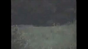 Скримеры . Самые страшные скримеры Страшные видео САМЫЕ СТРАШНЫЕ В МИРЕ! THE WORST GAME IN THE WORL