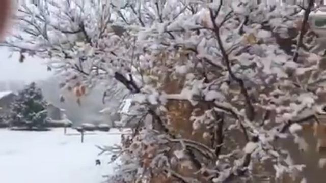 Первый снежный день 11 января 2019 года смотреть онлайн