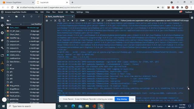 Deploy an Sagemaker linear learner classifier with hyperparameter tuning, default model monitor, et