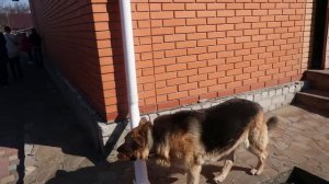 VLOG Архивное видео: Даша провожает подружку