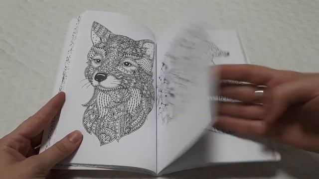 ОБЗОР/РАСКРАСКА АНТИСТРЕСС/ЛИСЫ И СОВЫ смотреть онлайн