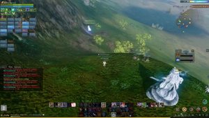 странное пвп в солнечных полях