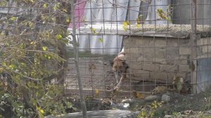 Владельцы дачных участков СНТ «Текстильщик» столкнулись с неприятной историей