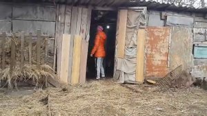 Альбен от гельментов