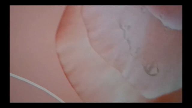 ГЛАДКИЕ ОБОИ МОЛОЧНОГО ЦВЕТА