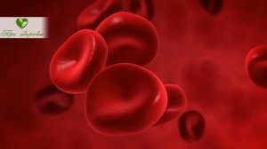 Чудо-салат: свекла с чесноком