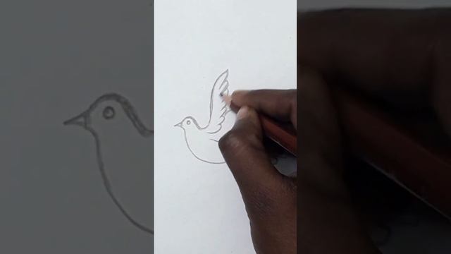 How to draw a bird || birds drawing easy #drawing #tattoo #youtubeshorts #viral #artist #artvideos