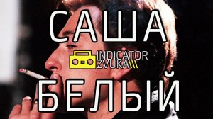 Indicator Zvuka - Саша Белый