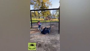 ОЧЕНЬ СИЛЬНО НАПУГАЛИ, ПОДБОРКА ПРИКОЛОВ, ДОМАШНЕЕ ВИДЕО, Ultimate Funny Scared Reactions