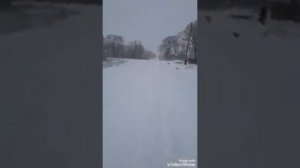 Приморский край село барано-оренбургское 20.03.2021 год суббота выпал снег