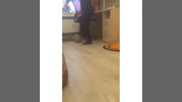 Как сделать финты в футболе смотреть онлайн