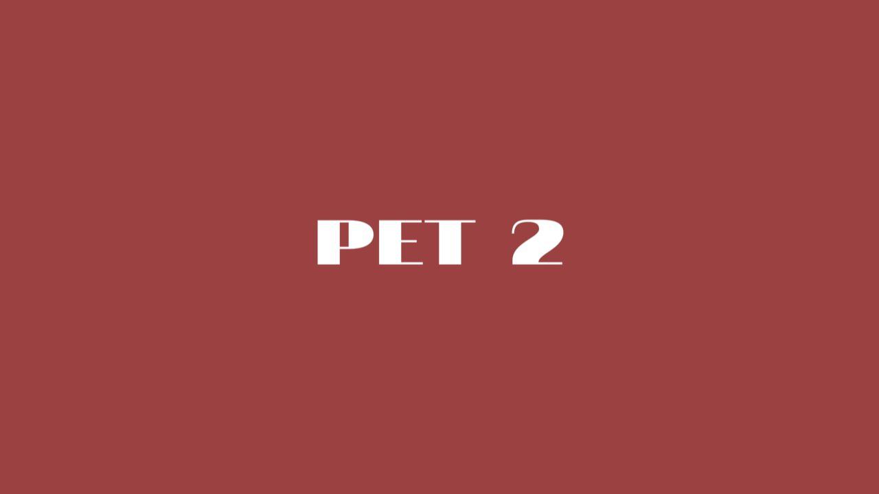 PET 2 Lesson 27