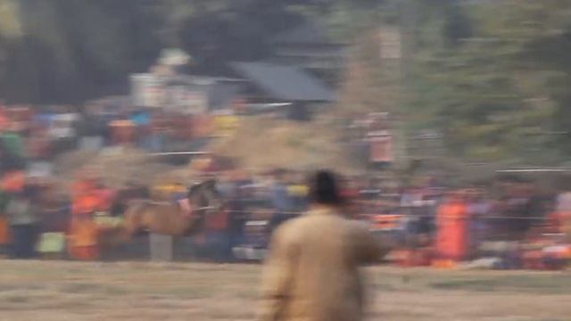 Tasmina's crazy horse has sprung Crazy horse rubbed thousands of female spectators horse racing смотреть онлайн