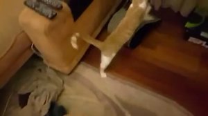 Тренировка перед сном;-);-)