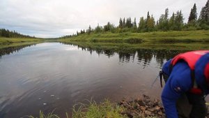 КРУПНЫЙ ОКУНЬ НА СПИННИНГ С БЕРЕГА| РЫБАЛКА НА  СЕВЕРНОМ ТИМАНЕ