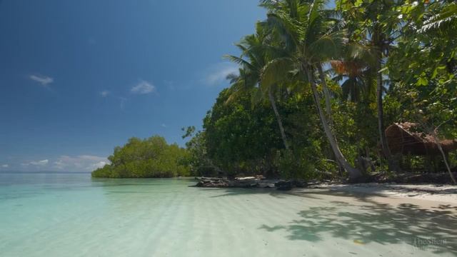 RELAXING OCEAN WAVES FOR SLEEPING AND RELAXING / ПРИЯТНЫЙ ШУМ ОКЕАНА ДЛЯ ОТДЫХА смотреть онлайн