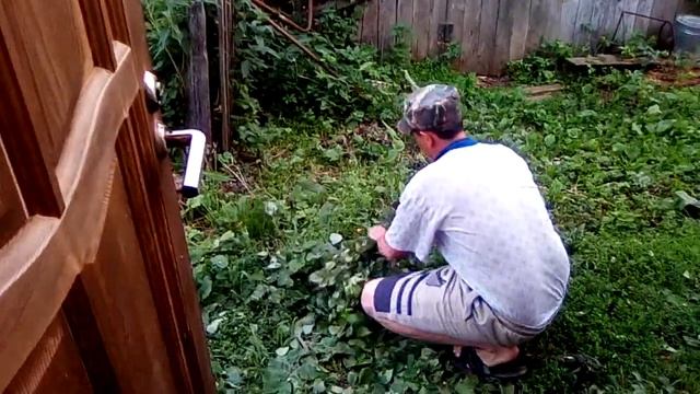 Как вязать банные веники из берёзы смотреть онлайн