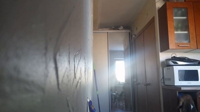 Hidden camera. Beagle himself at home || Скрытая камера. Бигль сам дома