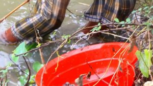 Hook Fishing - Traditional Hook Fishing - MR Fishing Life Hook Fishing in Village Boy