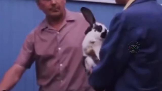 свое хозяйство