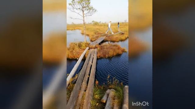 Прогулка в заказник Ельня смотреть онлайн