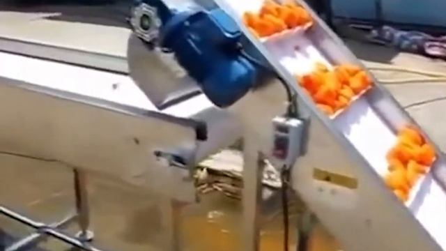 Линия по очистке овощей Titan